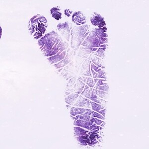 Team Page: Team Violet Peterman